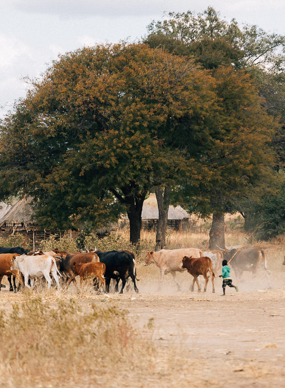 2026 Zambia NW Team 9