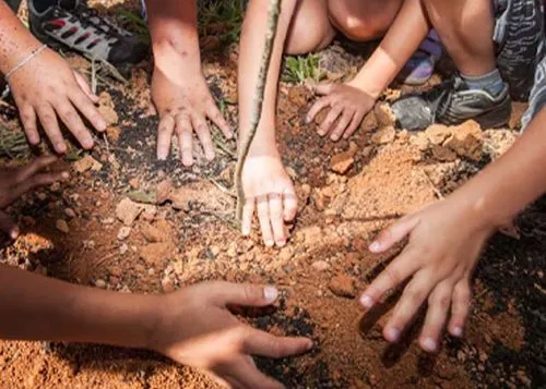 Projeto de Educação Ambiental do Instituto Tatiana Siaulys