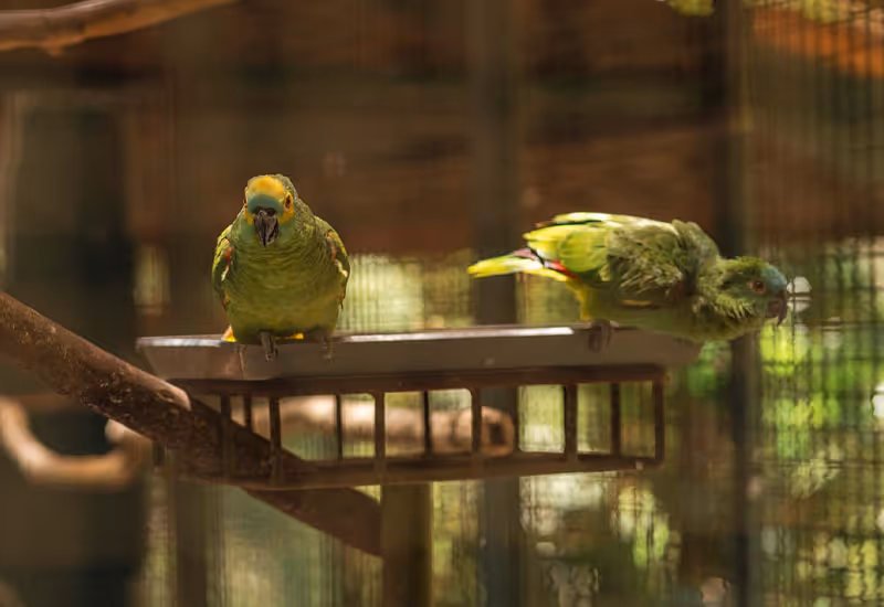 PROGRAMA DE EDUCAÇÃO AMBIENTAL
