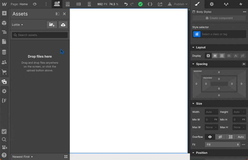 dotLottie animation file support