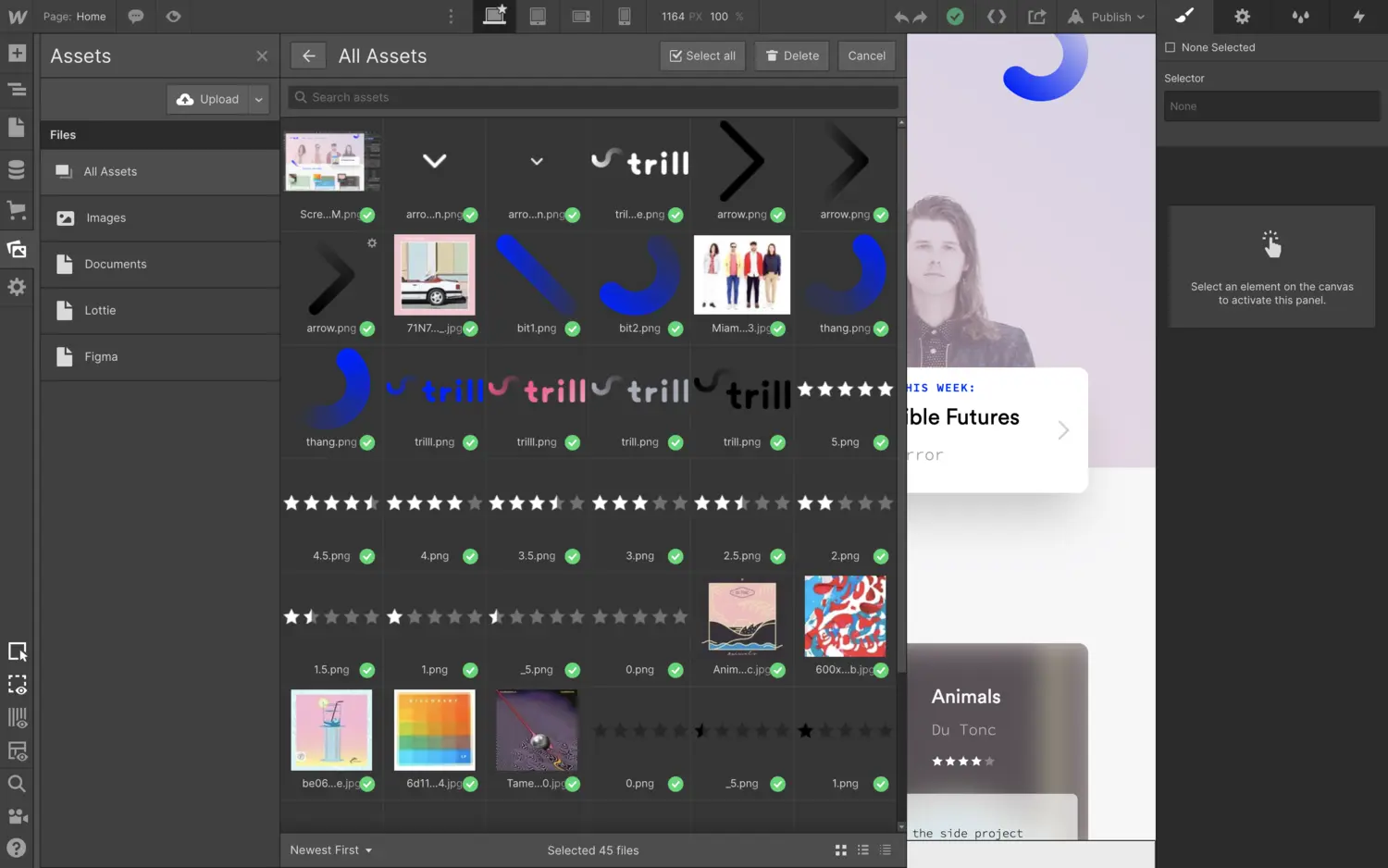 Bulk delete in the asset manager wide view