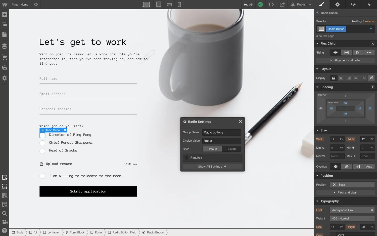 Customize form checkboxes and radio buttons