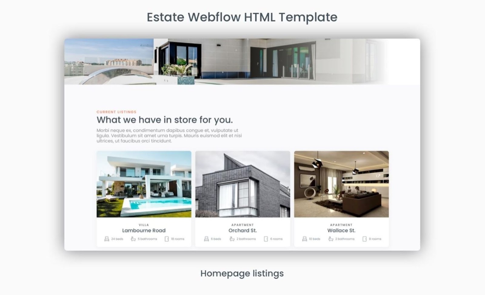 An image of the Estate Webflow HTML template.