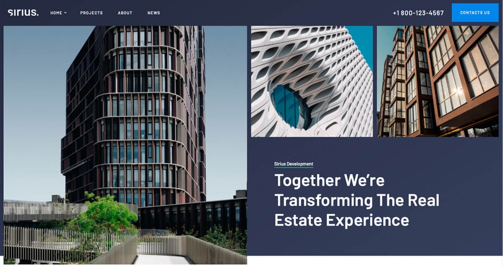 An image of the Sirius real estate website template.