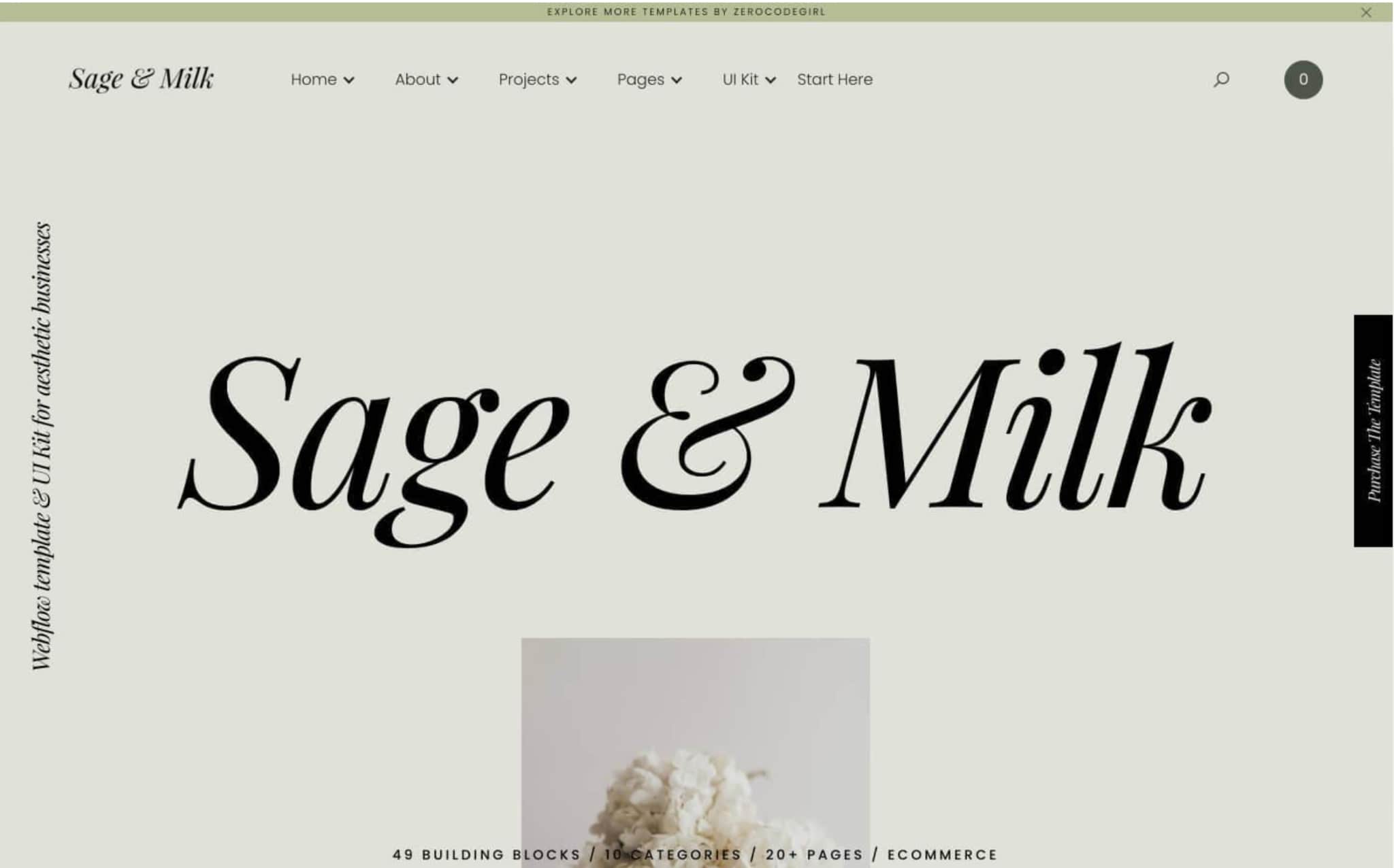 An image of the Sage & Milk template.