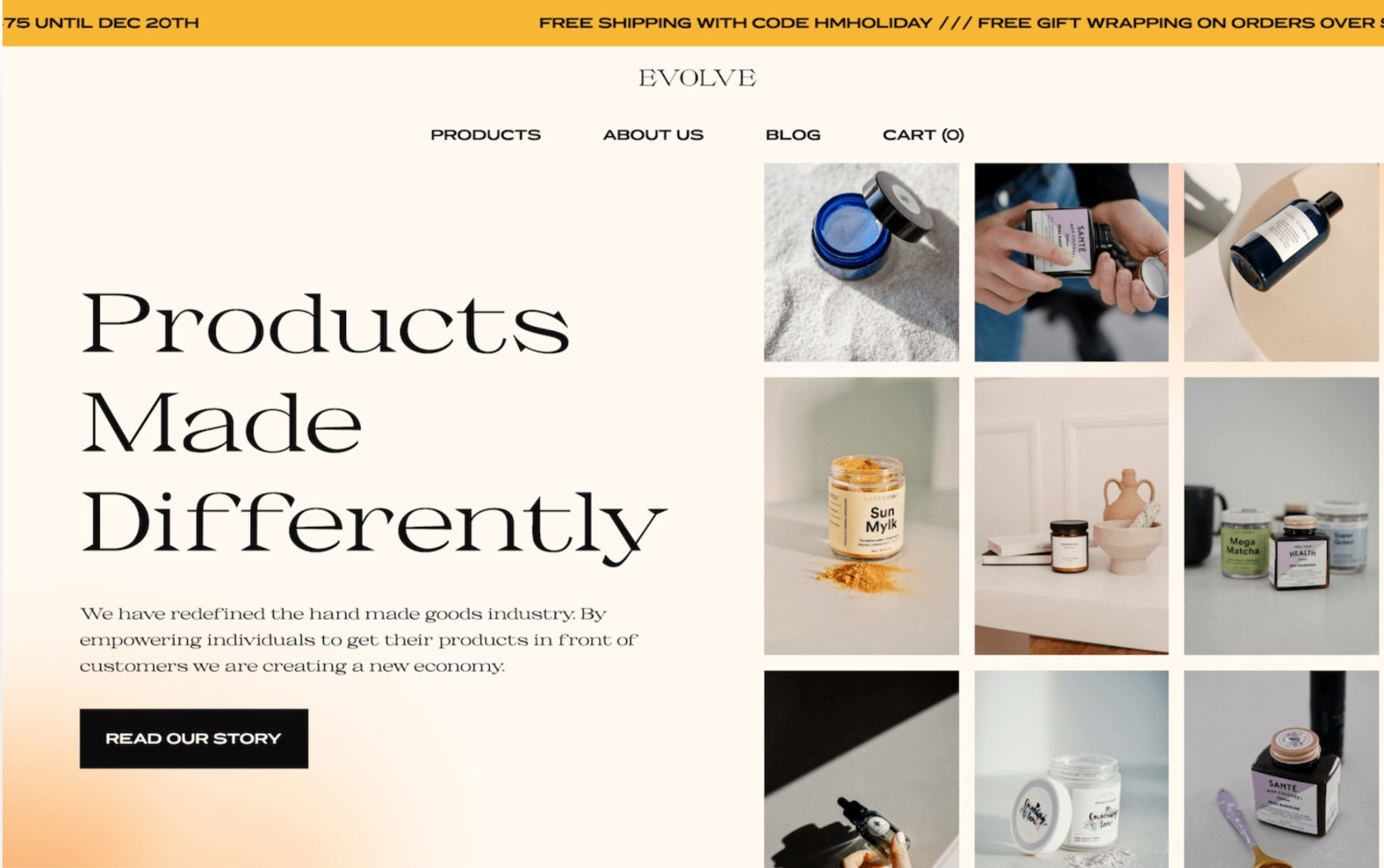An image of the Evolve template.