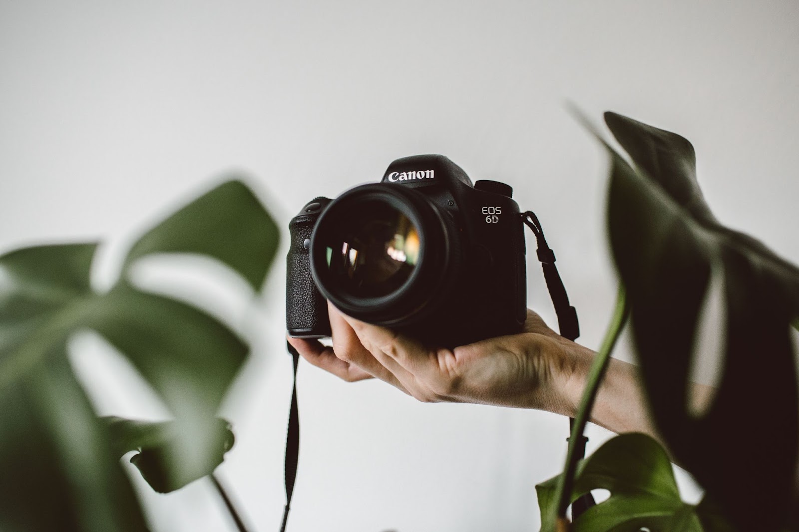 An image of a Canon camera being held in the palm of a person's hand.
