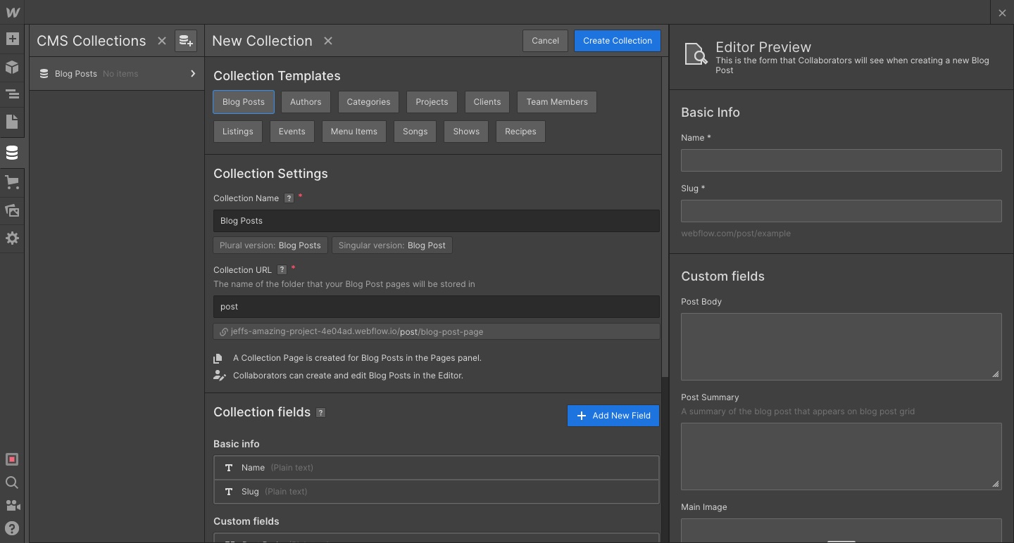 An image of Webflow's CMS.
