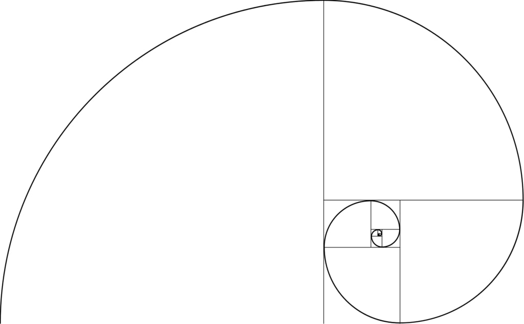 An image of the Fiobonacci spiral.