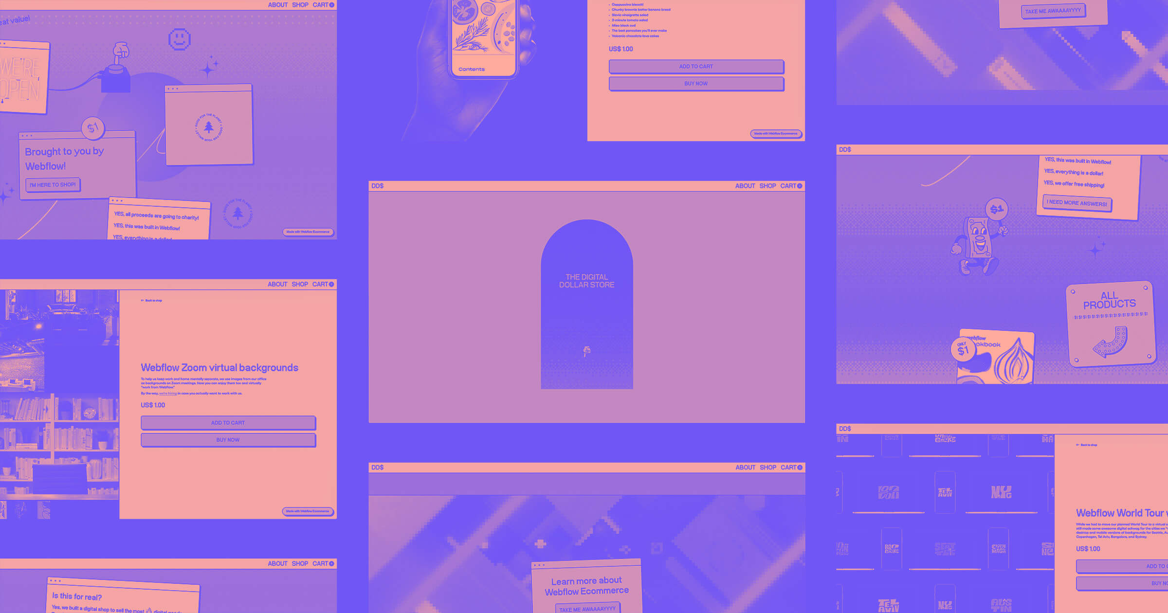 How (and why) we built the Digital Dollar Store