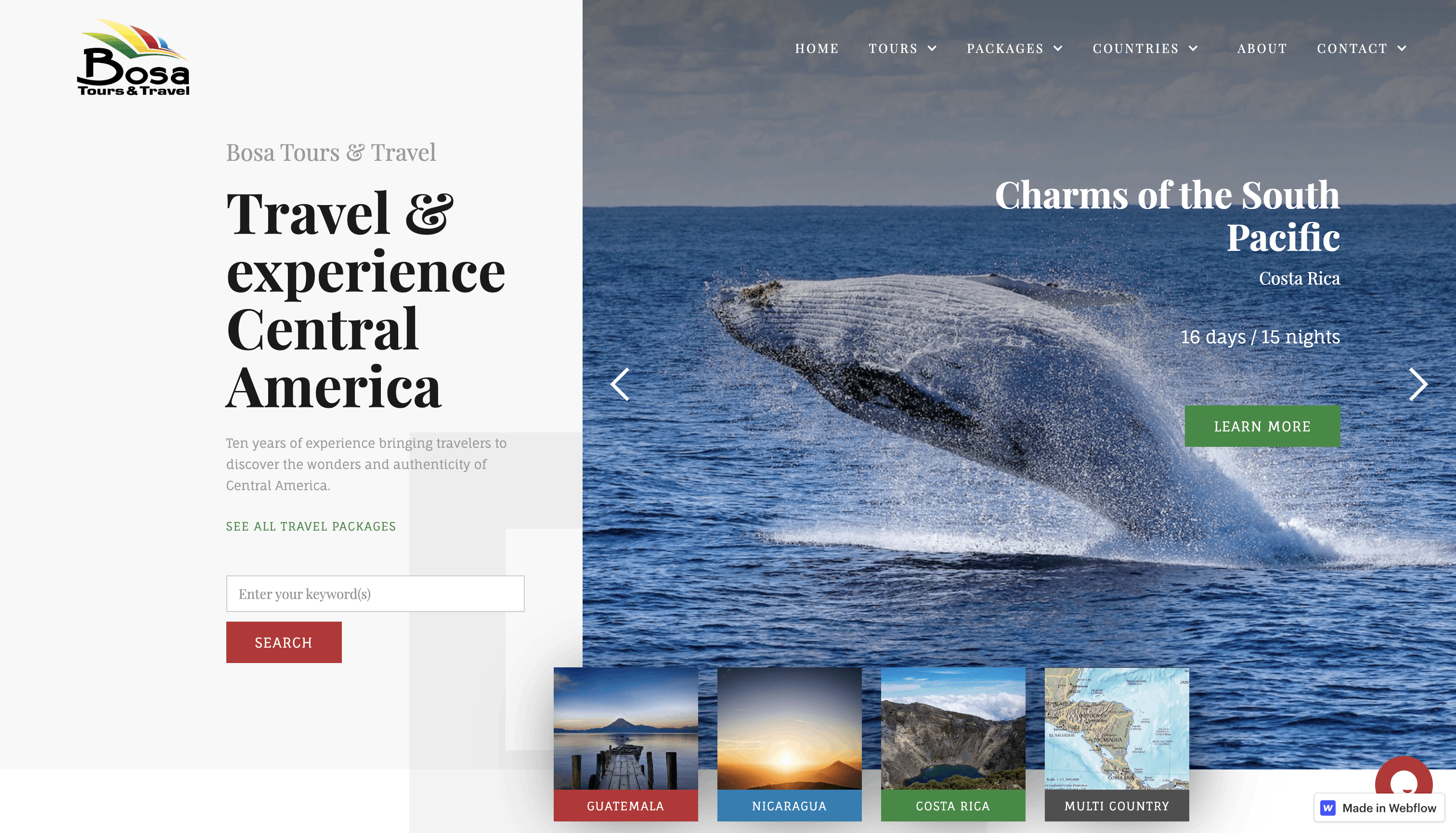 A screenshot of Bosa Tours & Travel’s website with an image of a whale breaching the ocean’s waters