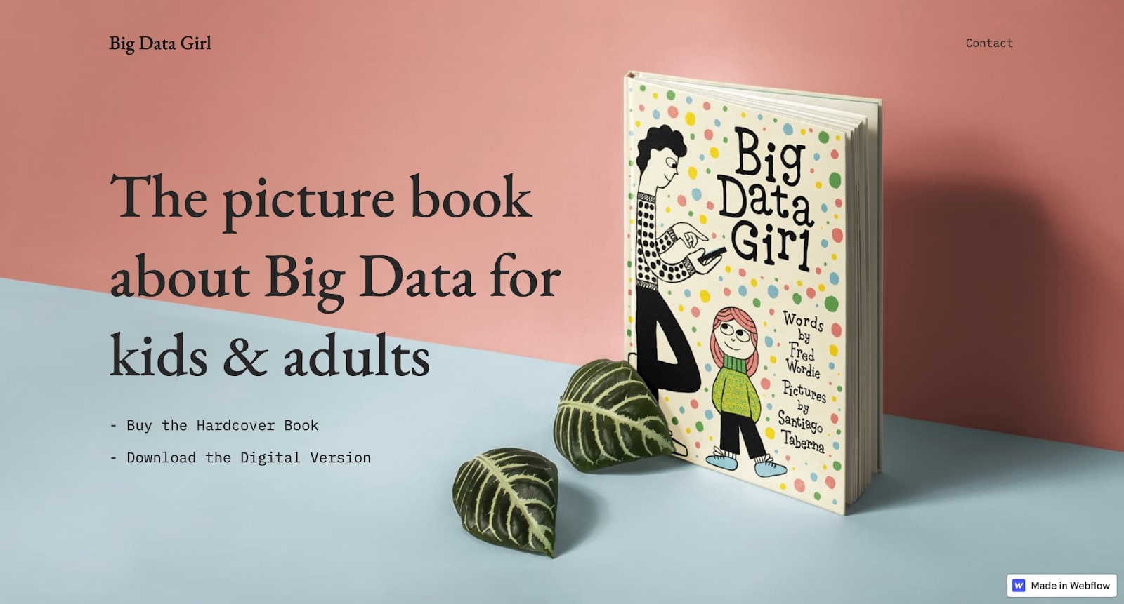 An image of the Big Data Girl website home page.