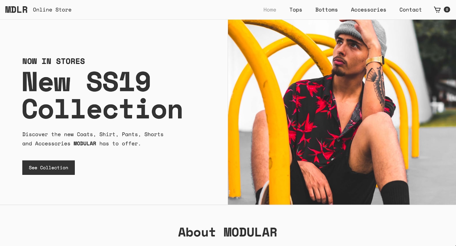 An image of MDLR's online store.
