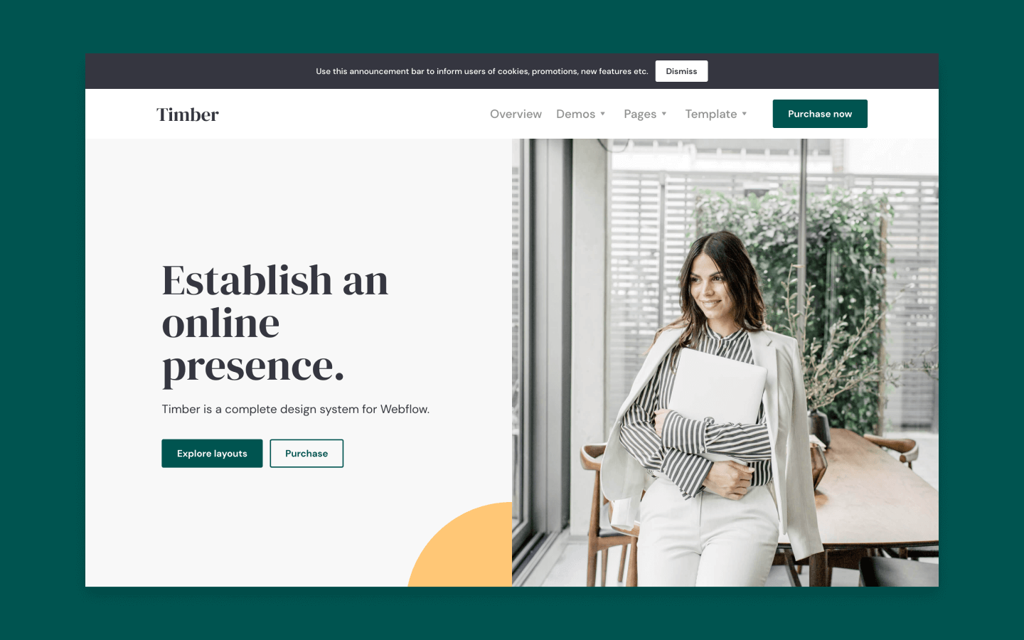 On the Timber home page, a forest green box surrounds an image of a person leaning on a table. The headline reads, “Establish an online presence.”