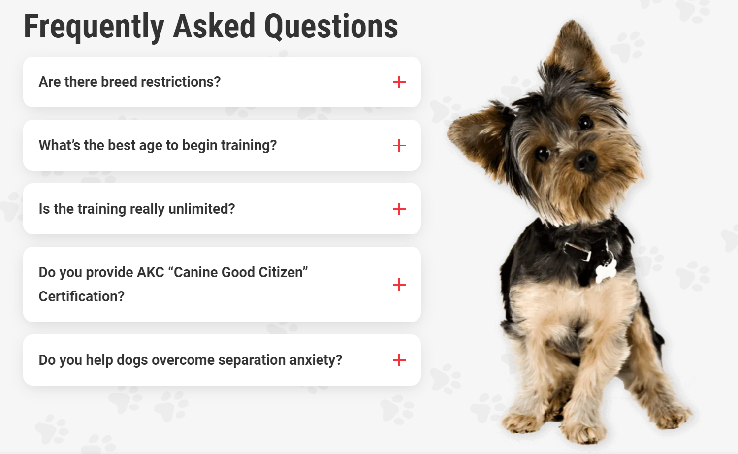 Total Dog! FAQs section, with a photo of a quizzical dog and questions such as “Are there breed restrictions?” and “Do you help dogs overcome separation anxiety?”