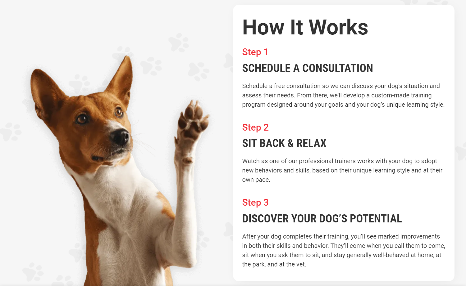 “How it works” section of Total Dog! website spelling out three steps: Step 1 – Schedule a consultation; Step 2 – Sit back and relax; Step 3 – Discover your dog’s potential.