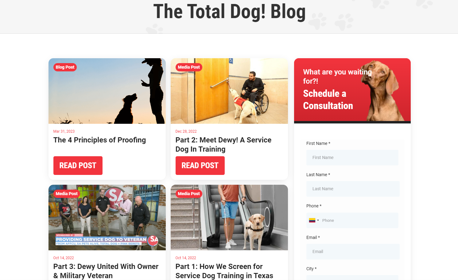 Total Dog! blog page showing informative blog posts about dog training and some Texas-specific stories.