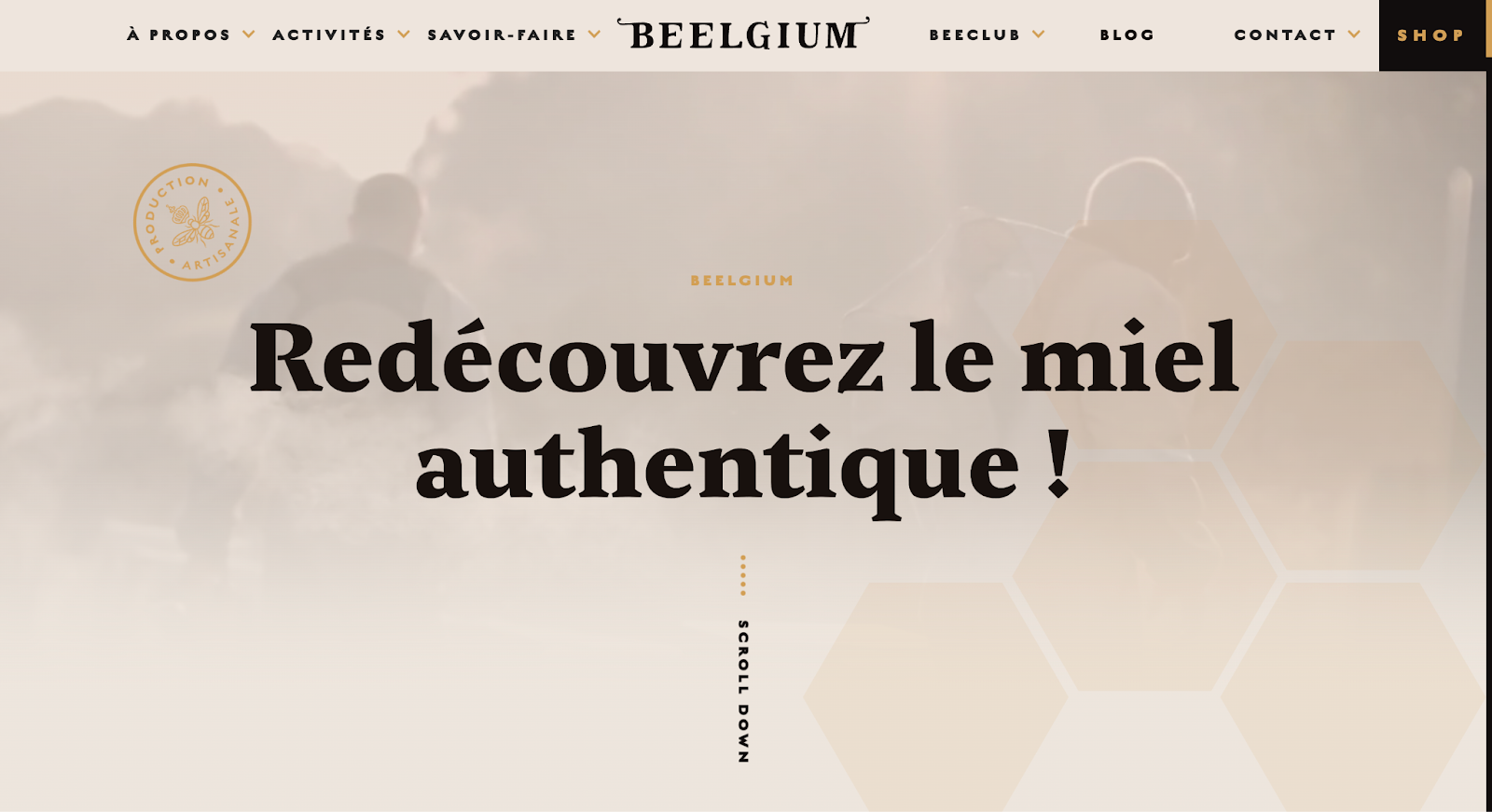 Beelgium’s website has the text “Redécouvrez le miel authentique!” against a looping video background with hexagon design elements.