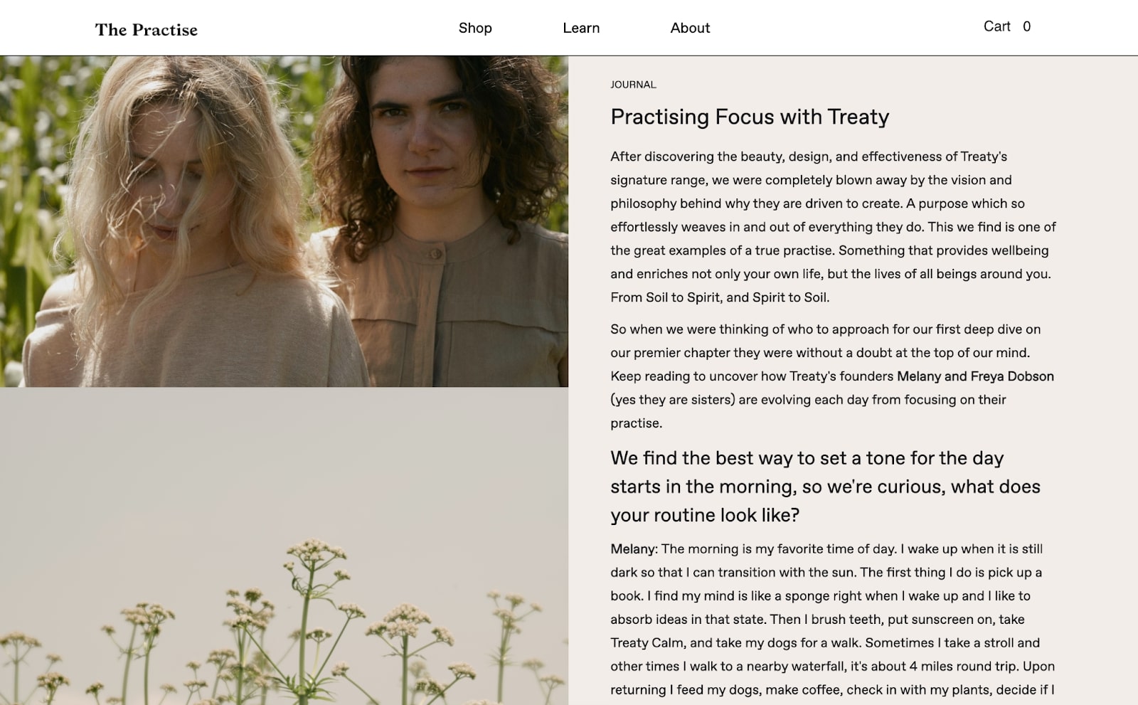 Another view of The Practise's blog.