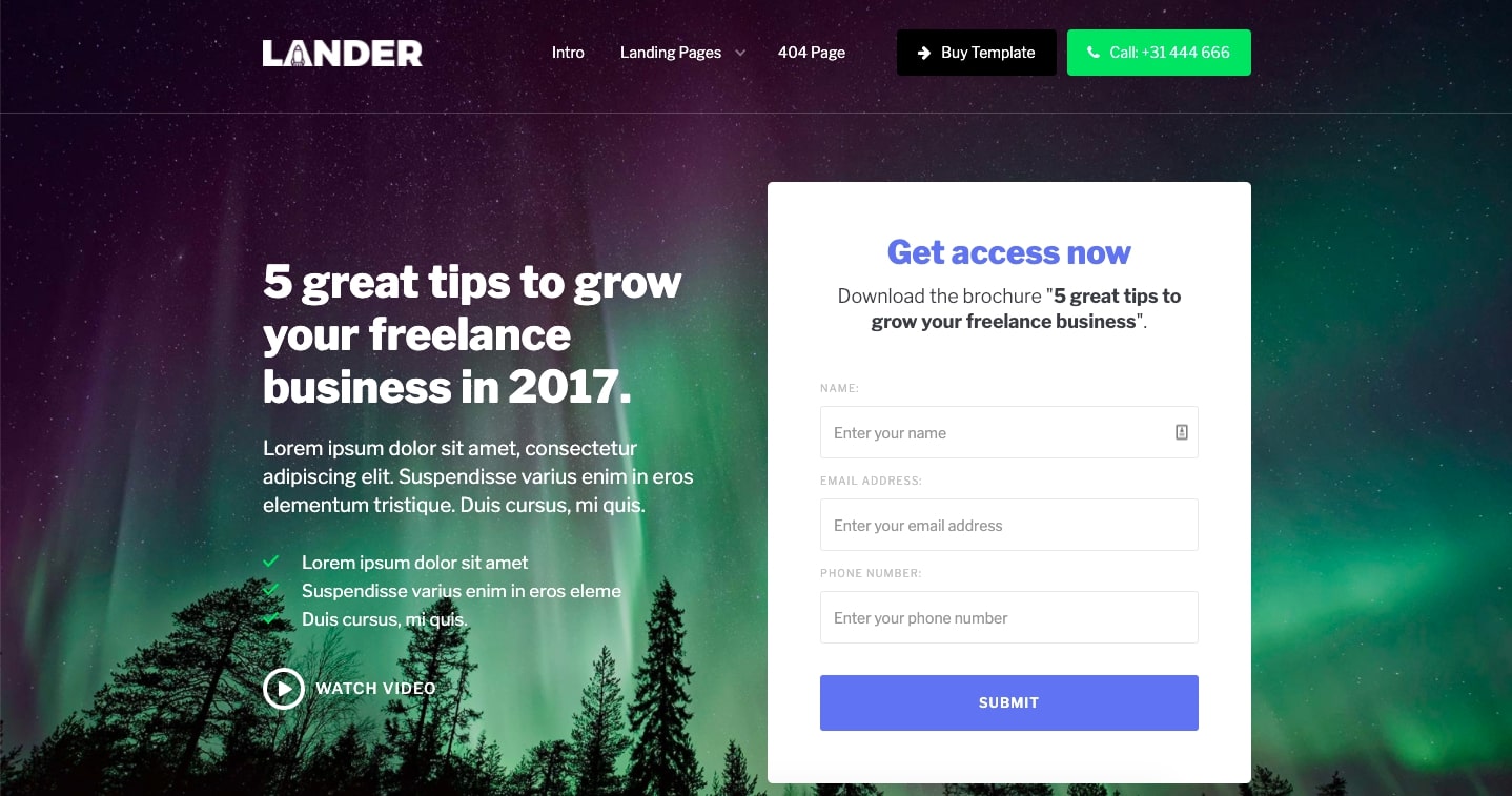 Lander website template. Background shows Northern Lights. Right side, information collection text box. Left side, placeholder text.