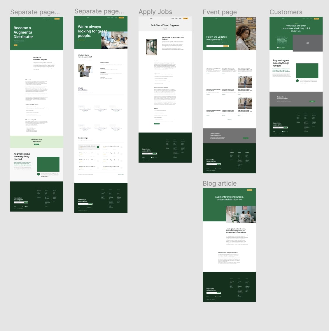 Website template example showing how different landing pages would appear.