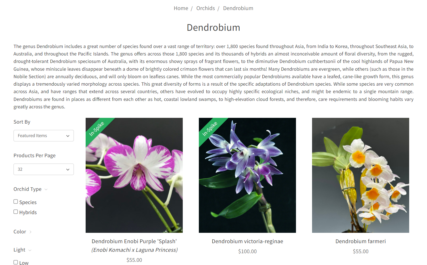 Orchidweb’s Dendrobium product listing page.