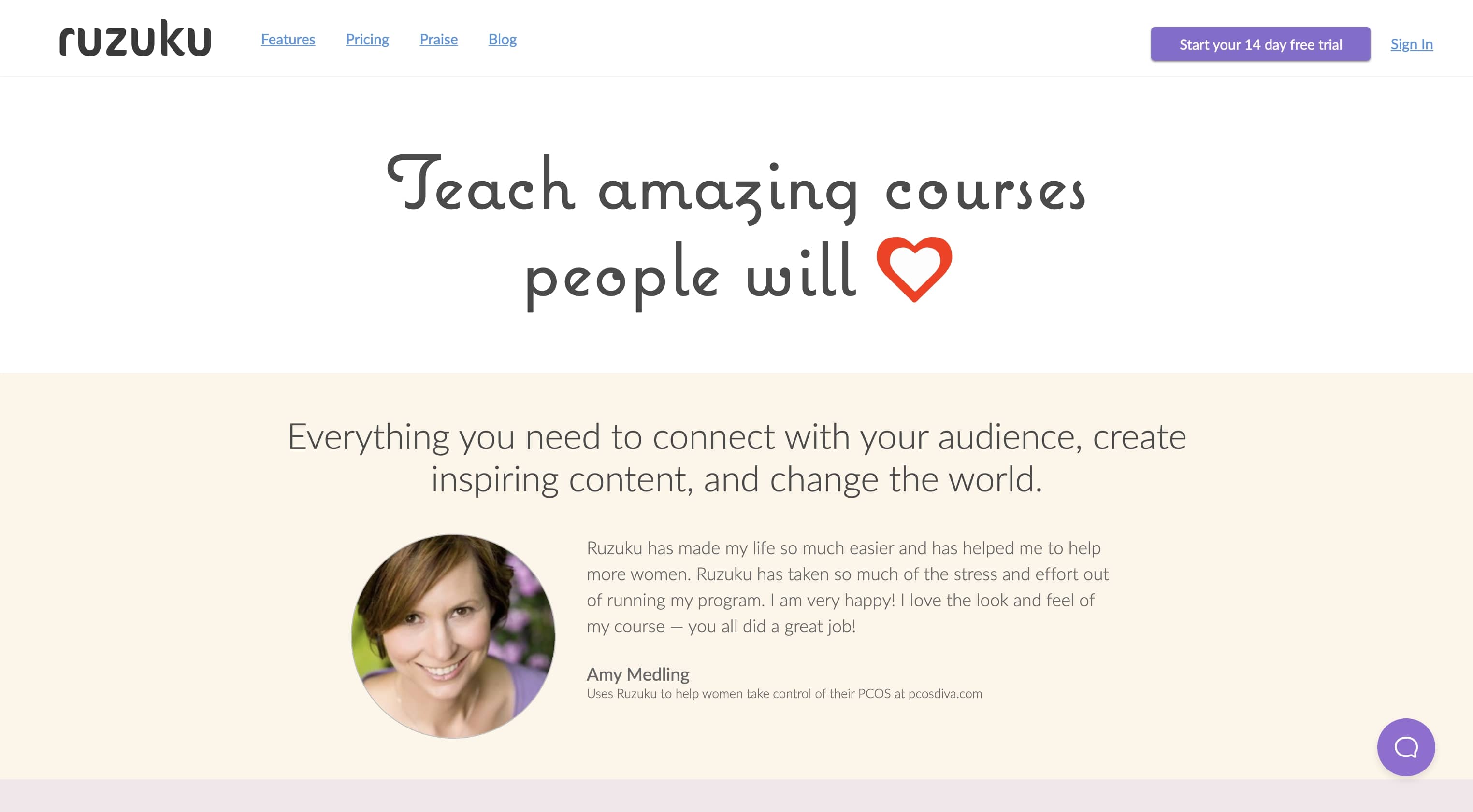 An image of the Ruzuku website.