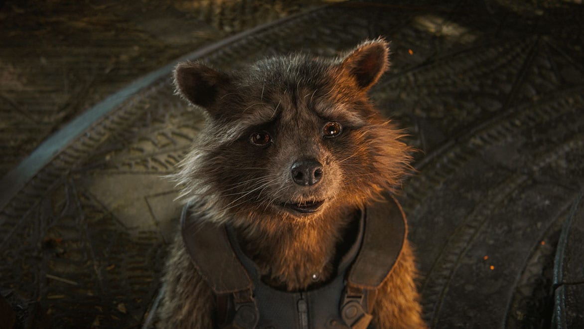 A 3D image of a raccoon character created by Autodesk Maya.