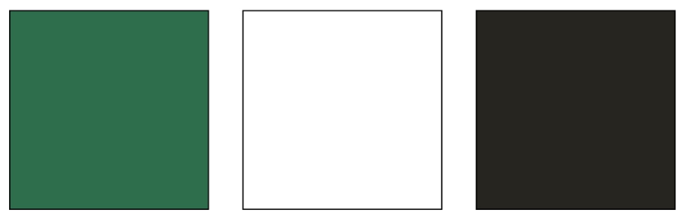 An image of three colored squares. The colors are green, white, and black.