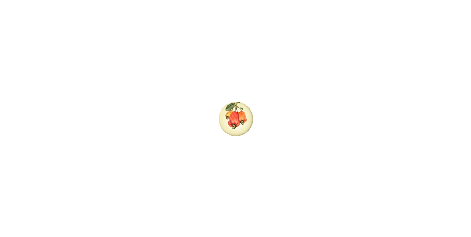 Screenshot of Crunchy Cashews’ loading animation, which transitions from a cashew plant budding to cashews forming, then spiraling downward to settle on a leafy bed, echoing the brand’s logo.