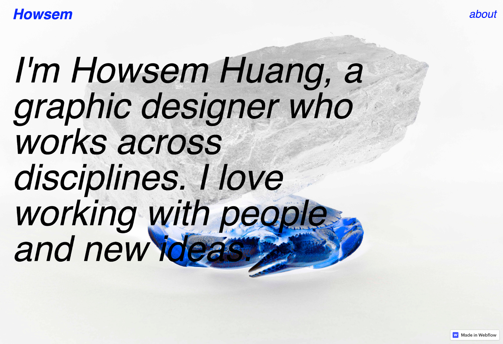 Howsem Huang’s portfolio website begins with a headline introduction over a negative image of a crab.