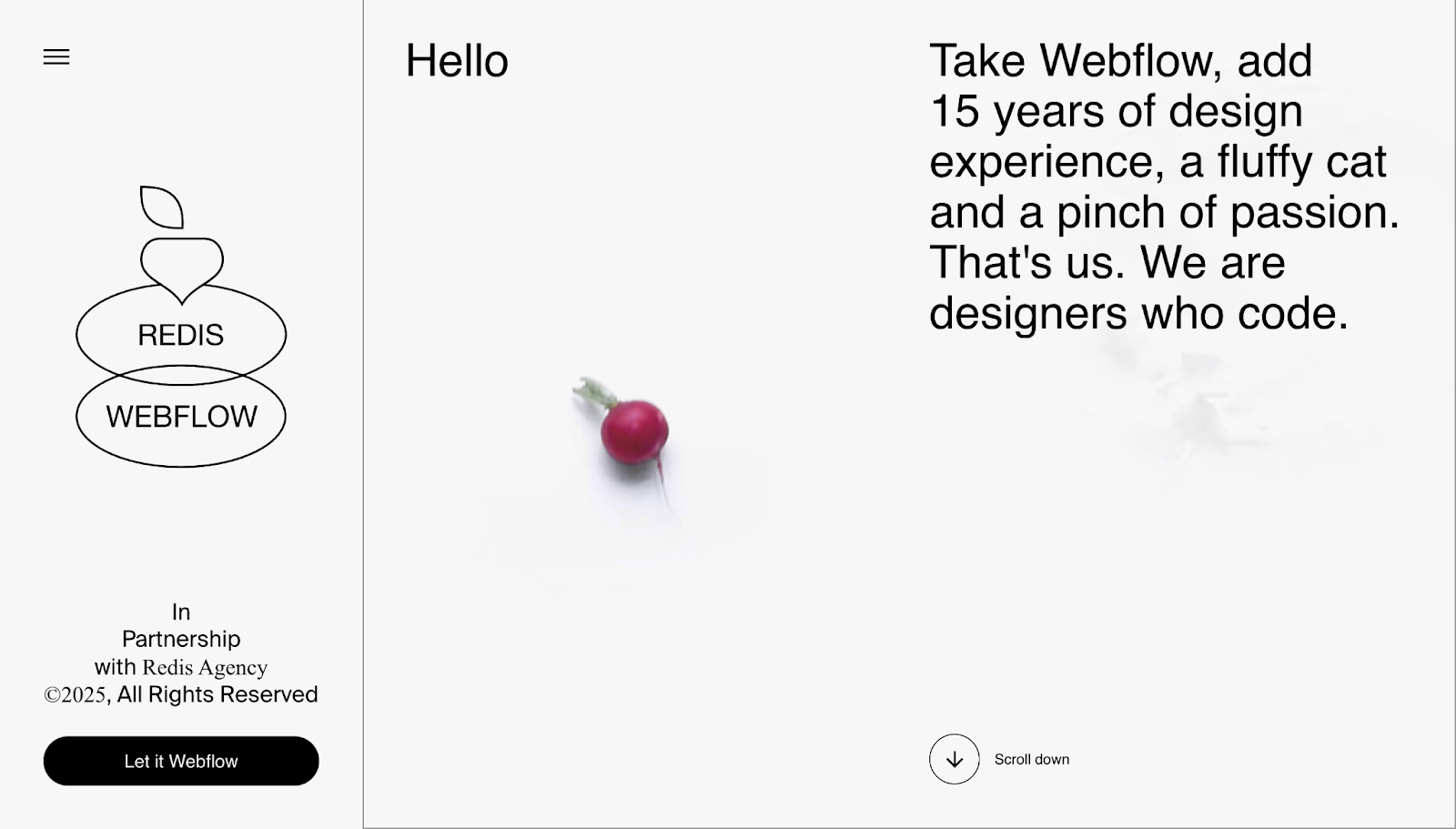 Screenshot of Redis's homepage