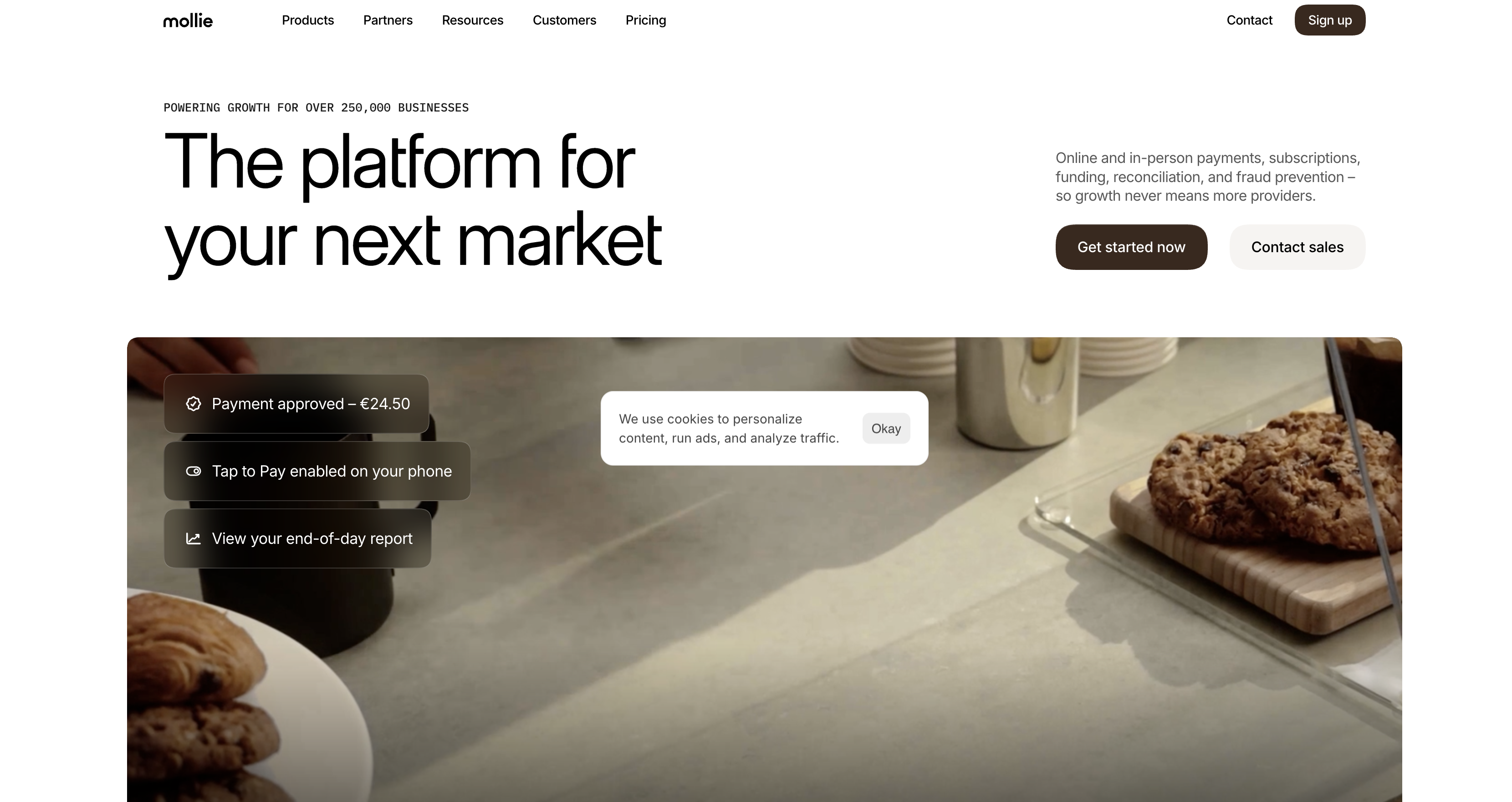 Mollie homepage