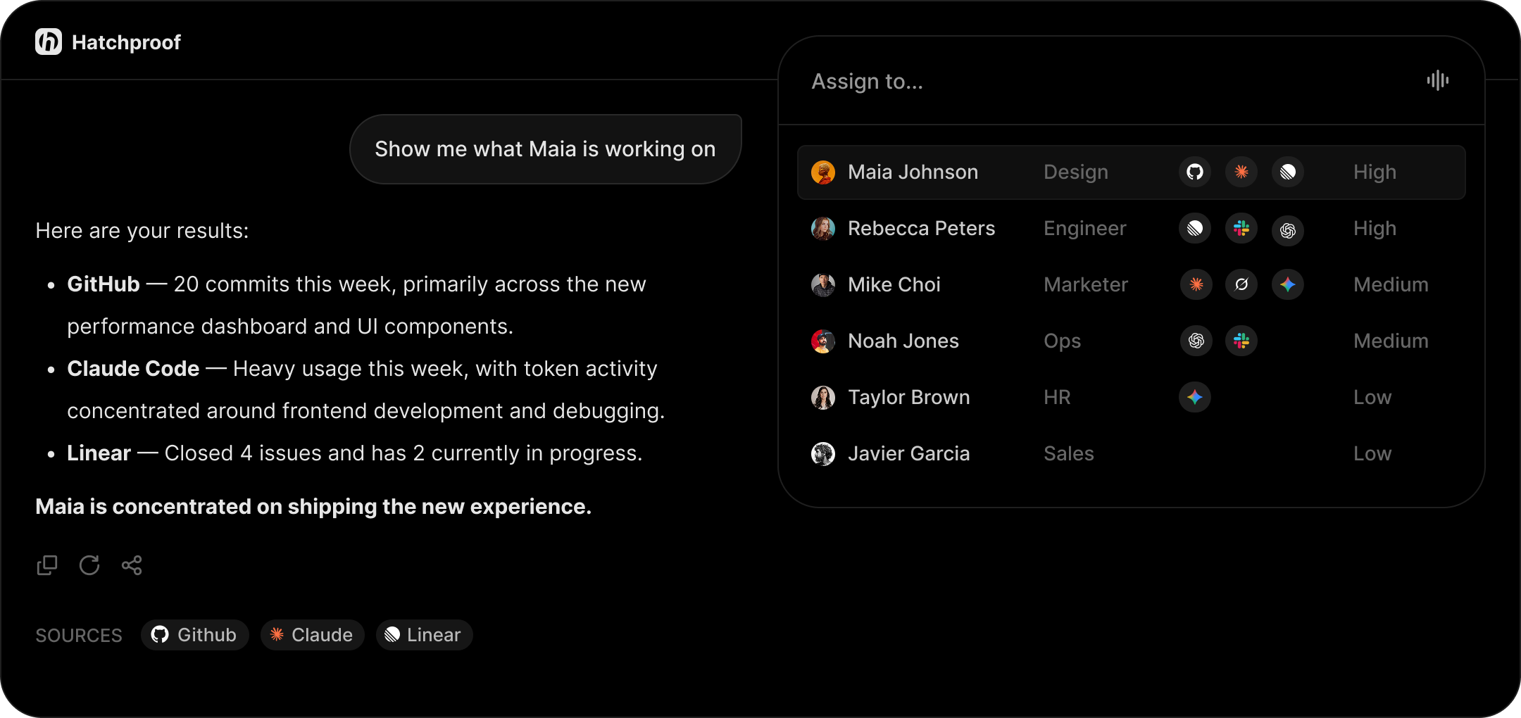 A team roster showing which AI tools each person uses and their adoption level