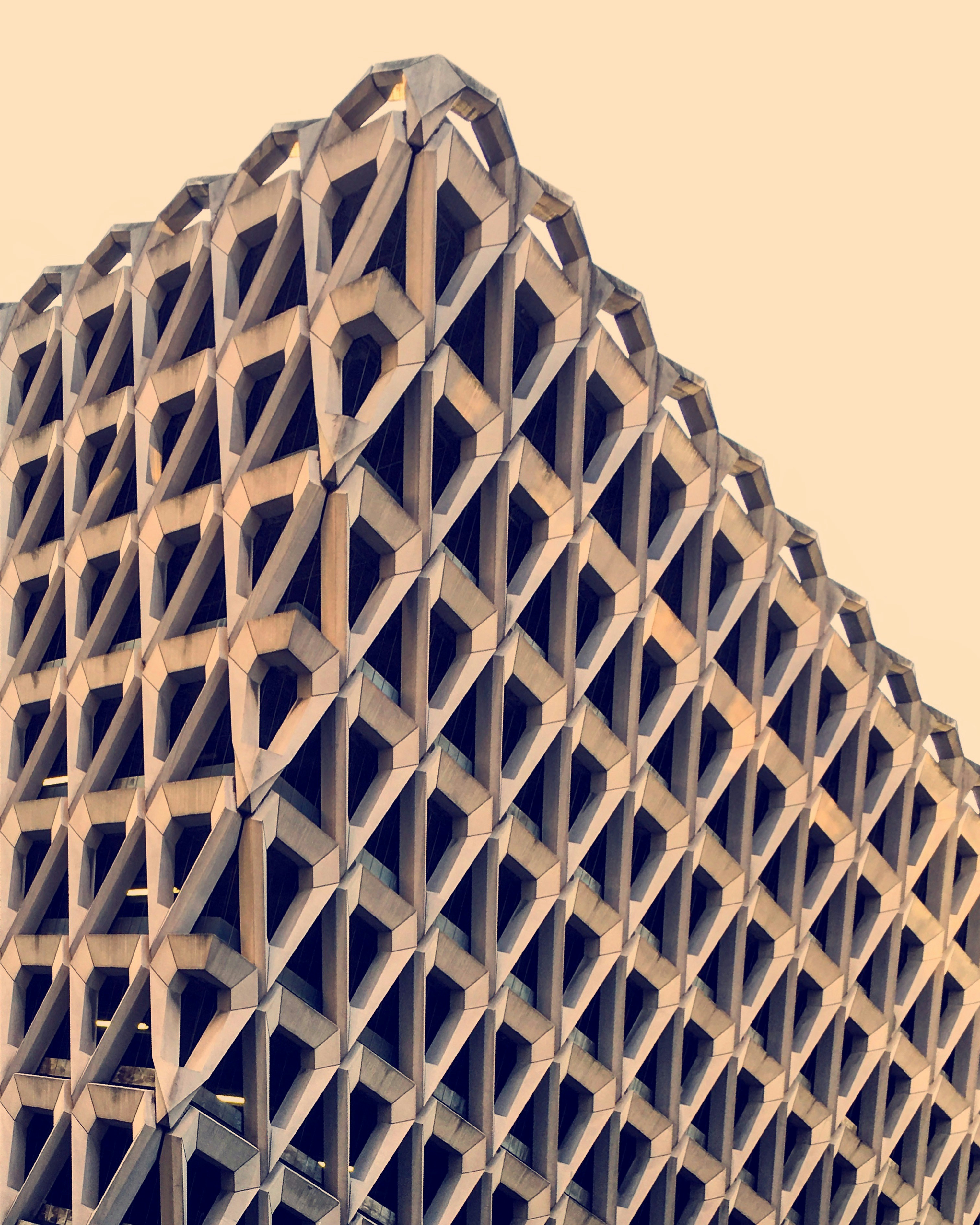 Photo by Jesus Rubio 