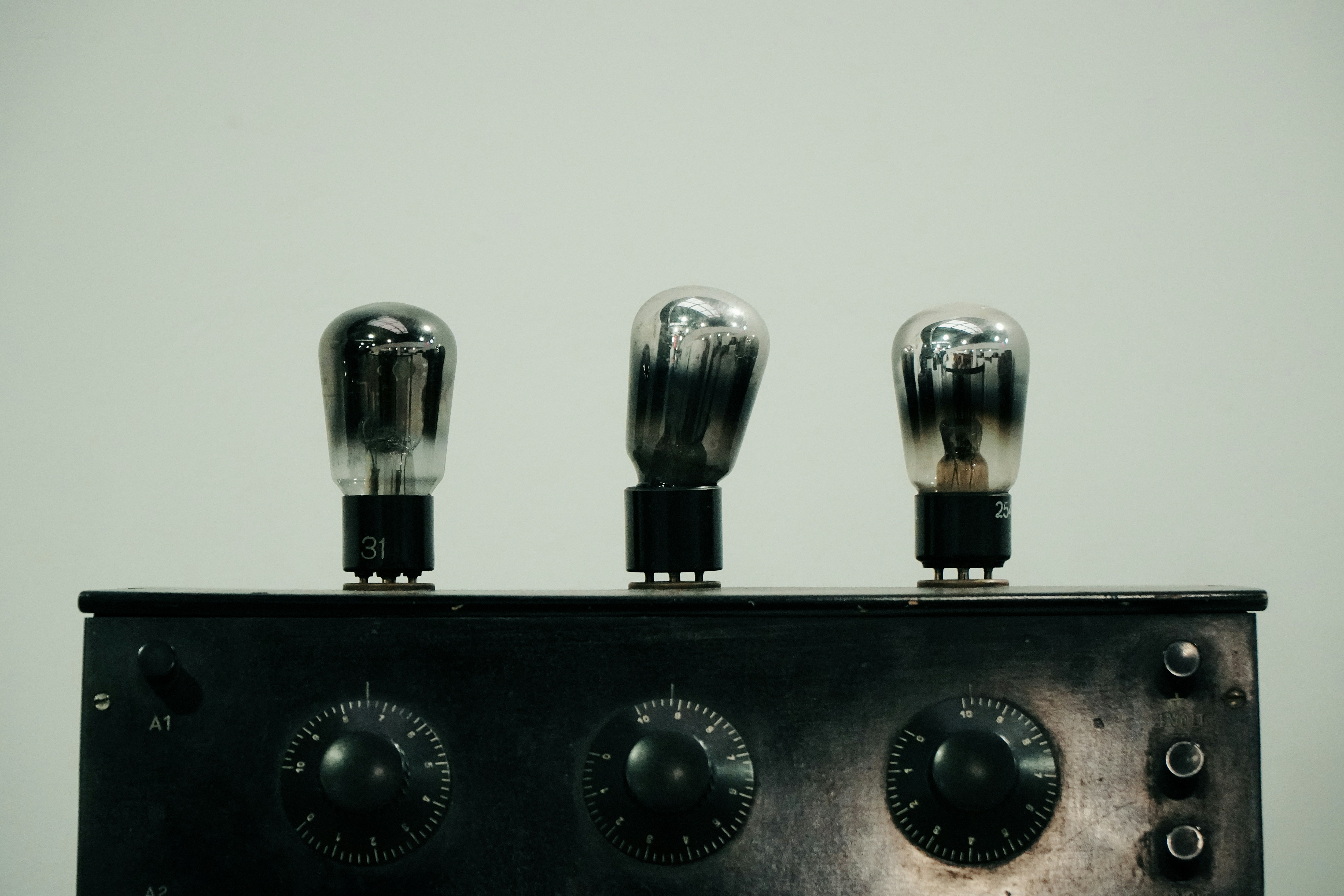 Photo by Ivan Aleksic 