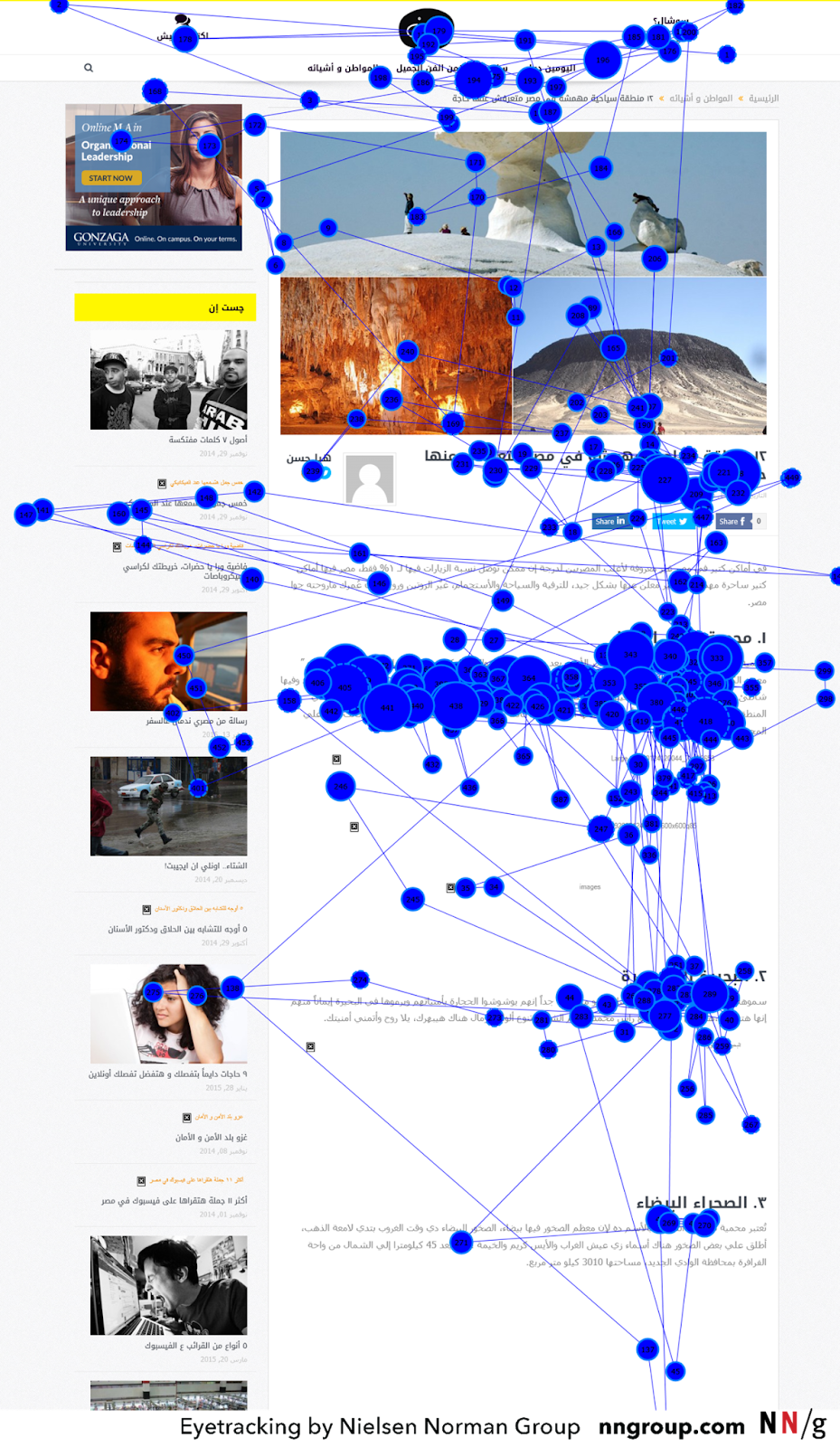 This image has an empty alt attribute; its file name is AD_4nXc_H7U64de347OpXEzLlQdS_Ms5qZGI0hyYwk9hz8OBAPMwqwi0VHdN4iQXMxv3eGUWwTh_0IK1lMa8Er0u2Q6yIvGNa19XtMAS7L5sdRo5YY1XyUsvX6YFVXTH1gN7PG8lR0FTkg