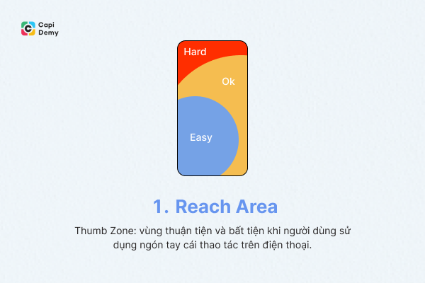 1-reach-area