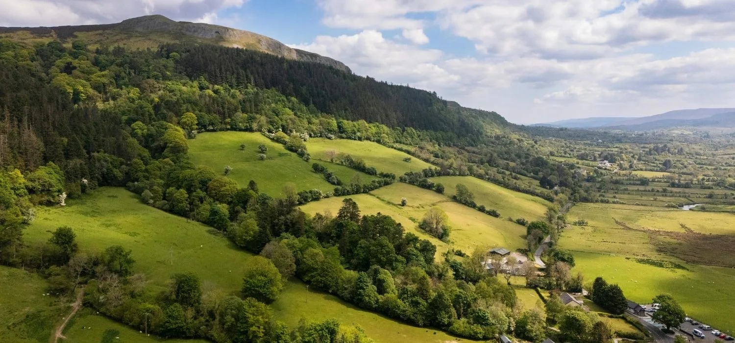 Aerial view of lush countryside in Ireland