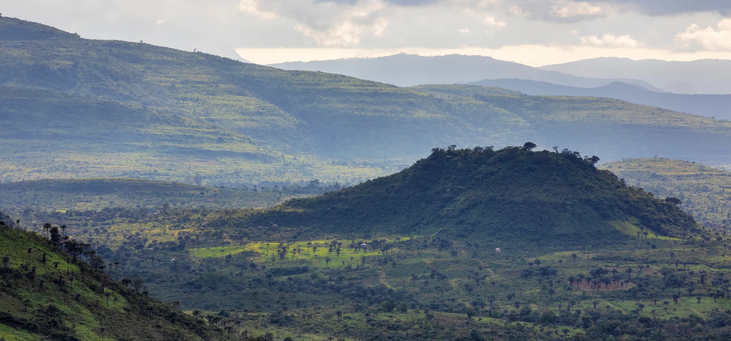 Guinea