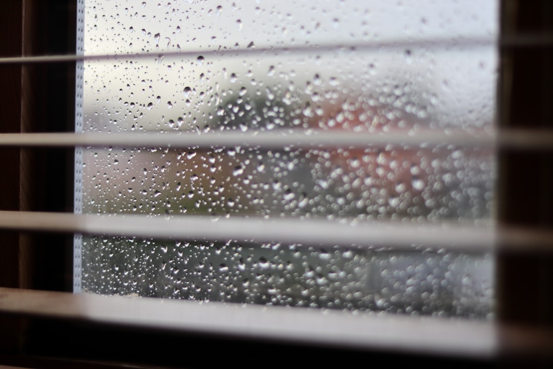 Why Your AC Feels Cold But the Air is Still Muggy