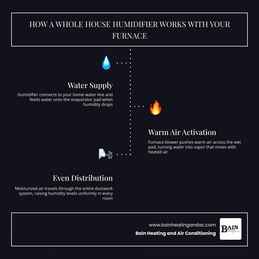 Infographic showing how a whole house humidifier integrates with a furnace, the evaporation cycle, and ideal indoor humidity
