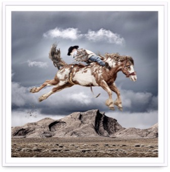 Steve Wrubel-Sage (1/8)