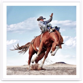 Steve Wrubel-Rutherford Sky (AP1/8)