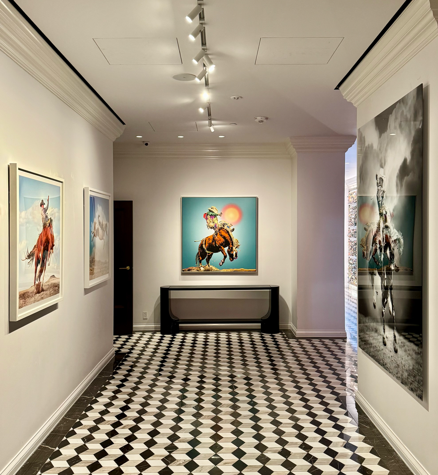 Steve Wrubel Photography at Park House Houston - February 2026