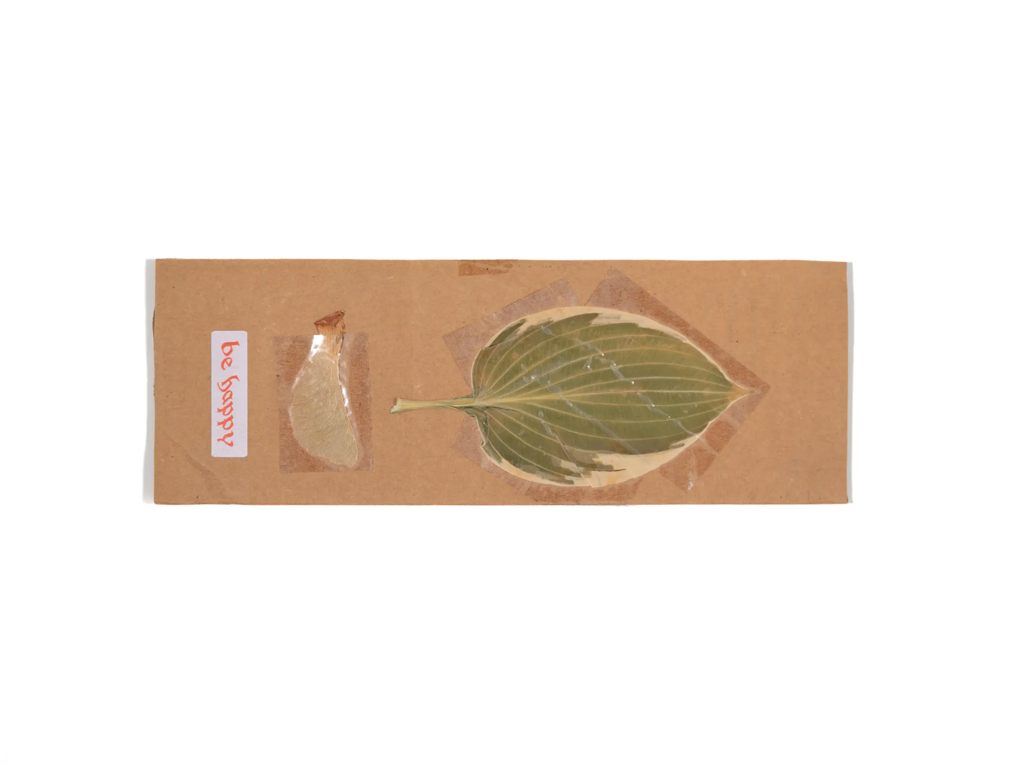 Cardboard XS 020 — Leaf, Be Happy, Seed Pod