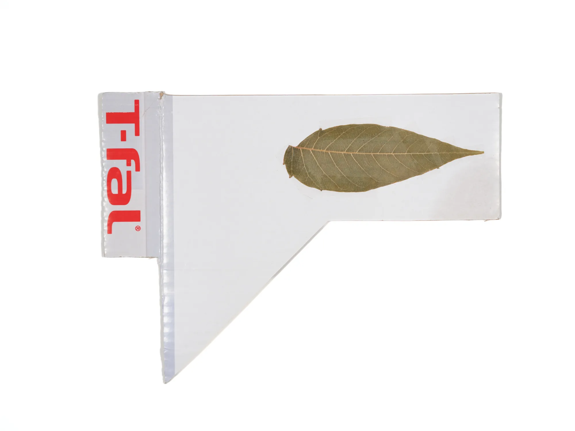 Cardboard XS 042 — T-fal, leaf