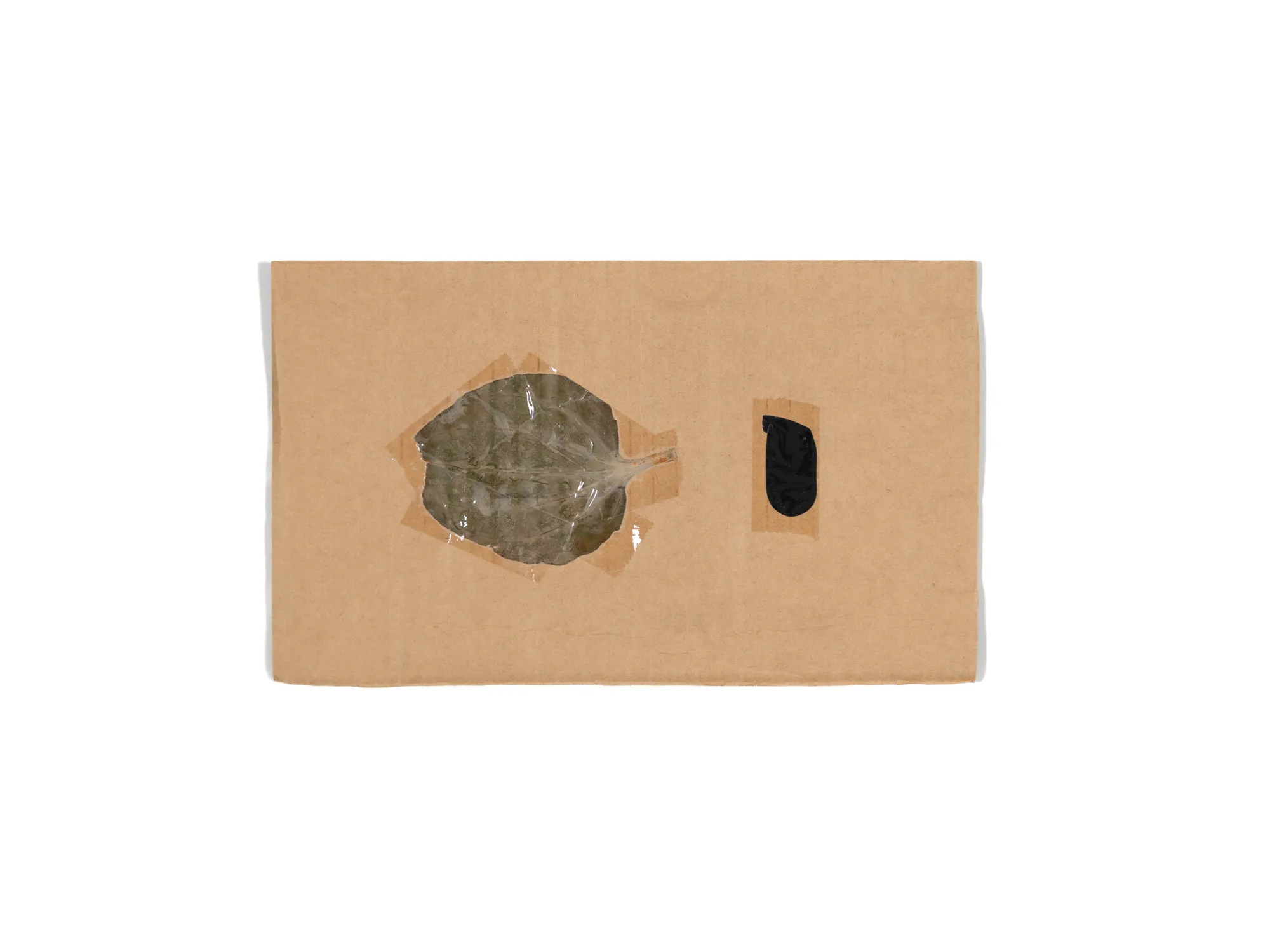 Cardboard XS 031 — Leaf, plastic bag