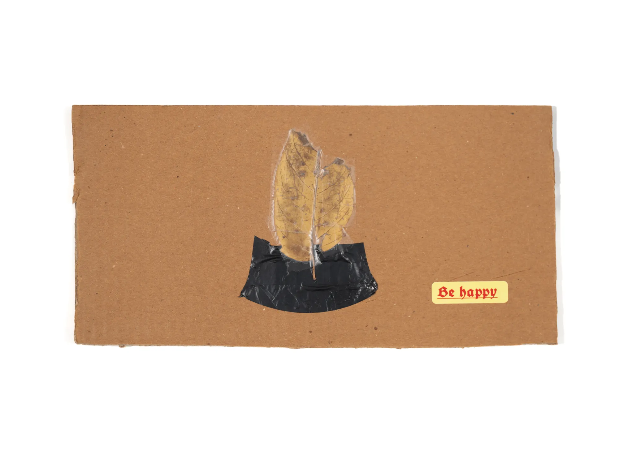 Cardboard XS 007 — Leaf, Plastic Bag, Be Happy