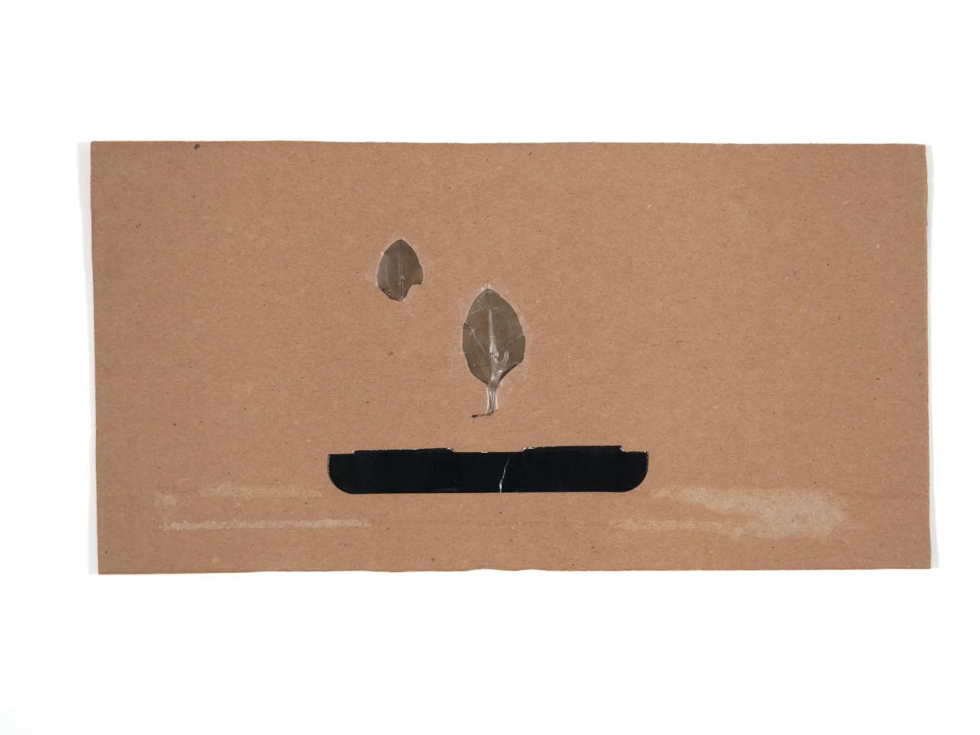 Cardboard XS 040 — leaf